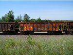 CN 90286 is new to RRPA!